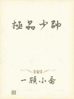 极品少帅