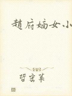 赵府嫡女小说