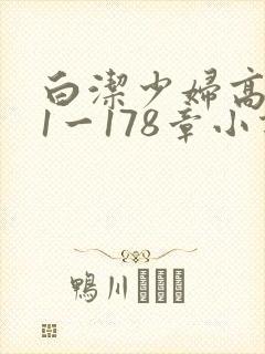 白洁少妇高义第1一178章小说