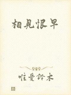 相见恨早