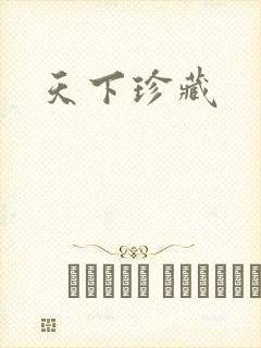 天下珍藏