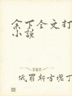 余下全文打不开小说