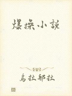 爆操小说
