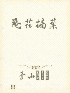 飞花摘叶