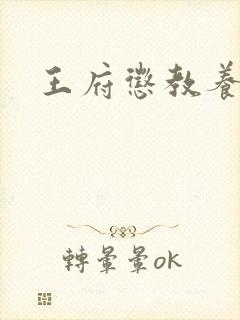 王府惩教养日常