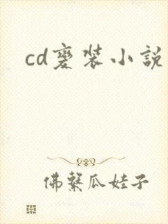 cd变装小说