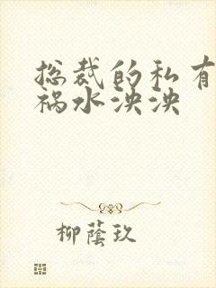 总裁的私有宝贝祸水泱泱封面