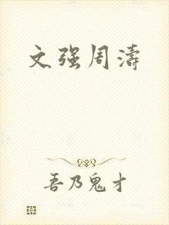 文强周涛