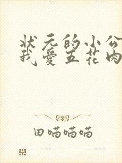 状元的小公主(我爱五花肉)封面
