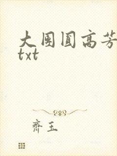 大团圆高芳小说txt封面