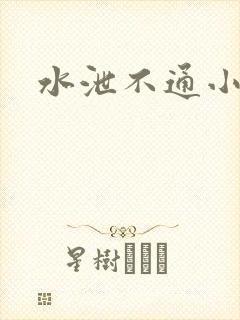 水泄不通小说