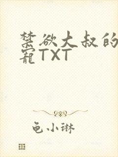 禁欲大叔的心尖宠TXT封面