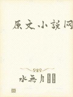 原文小说网