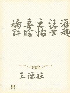 娇妻之泛海之舟许晗怡笔趣阁封面