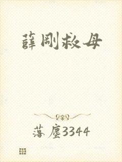 薛刚救母