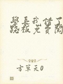 学长我错了 跷跷板免费阅读