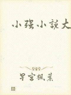 小强小说大全封面