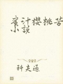 蜜汁樱桃苦咖啡小说封面