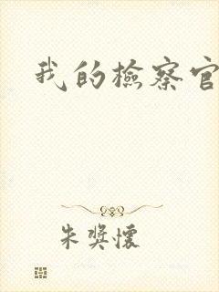 我的检察官先生