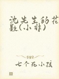 沈先生的花式调数(小非)
