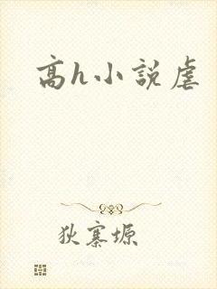 高h小说虐