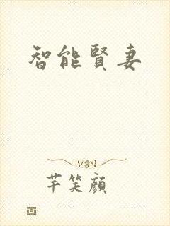 智能贤妻