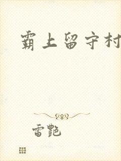 霸上留守村妇封面