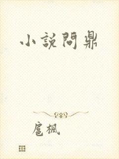 小说问鼎