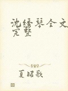 沈绣琴全文阅读完整封面