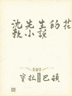 沈先生的花式调教小说封面