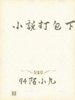 小说打包下载
