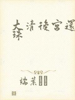 大清后宫还君明珠封面