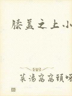 膝盖之上小说