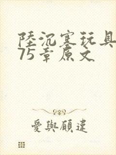 陆沉塞玩具高速75章原文封面