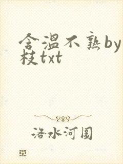 含温不熟by词枝txt