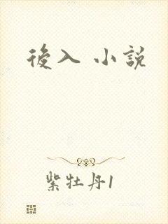 后入 小说