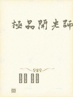 极品开光师
