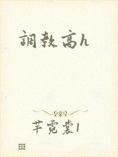 调教高h
