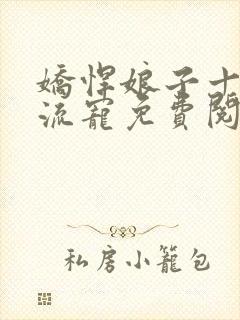 娇悍娘子十夫轮流宠免费阅读全文