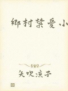 乡村禁爱小说