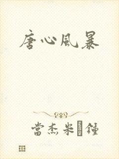唐心风暴