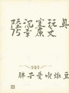 陆沉塞玩具高速75章原文