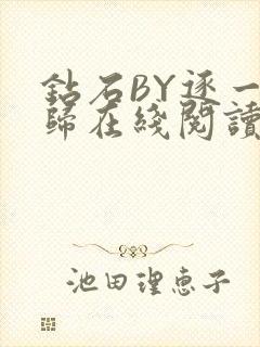 钻石BY逐一而归在线阅读