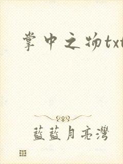 掌中之物txt
