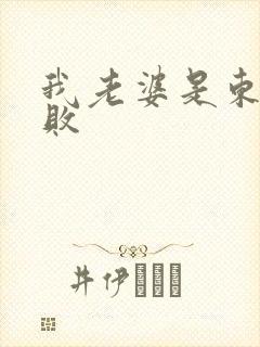 我老婆是东方不败封面