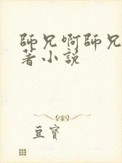 师兄啊师兄的原著小说封面