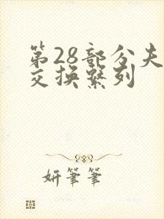 第28部分夫妇交换系列封面