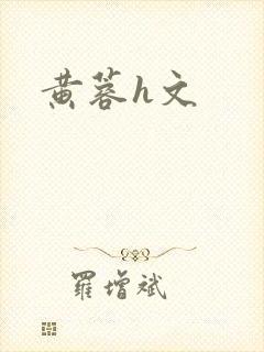 黄蓉h文封面
