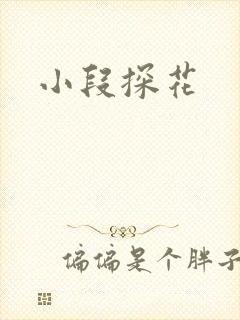 小段探花
