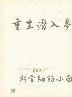 重生潜入梦